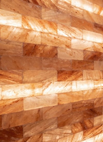 Himalayan Salt Bricks
