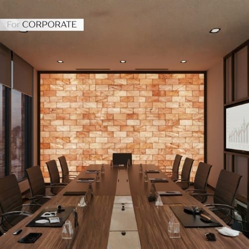 himaliyan salt wall brick for office corporate