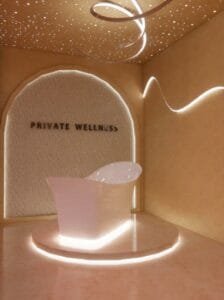 private wellness render work 2