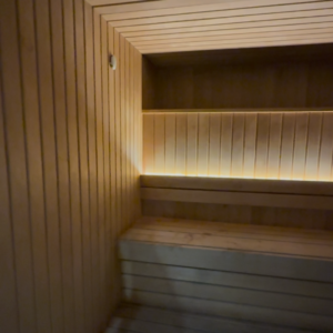 sauna lights